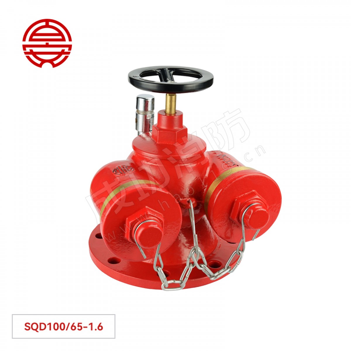 百安 多用式消防水泵接合器（地上型） SQD100/65-1.6