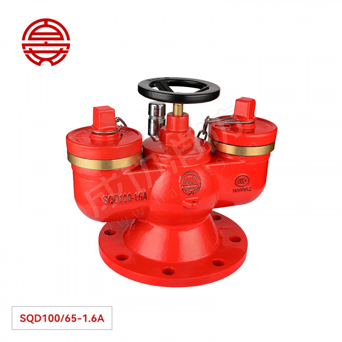 百安 多用式消防水泵接合器（地下型） SQD100/65-1.6A