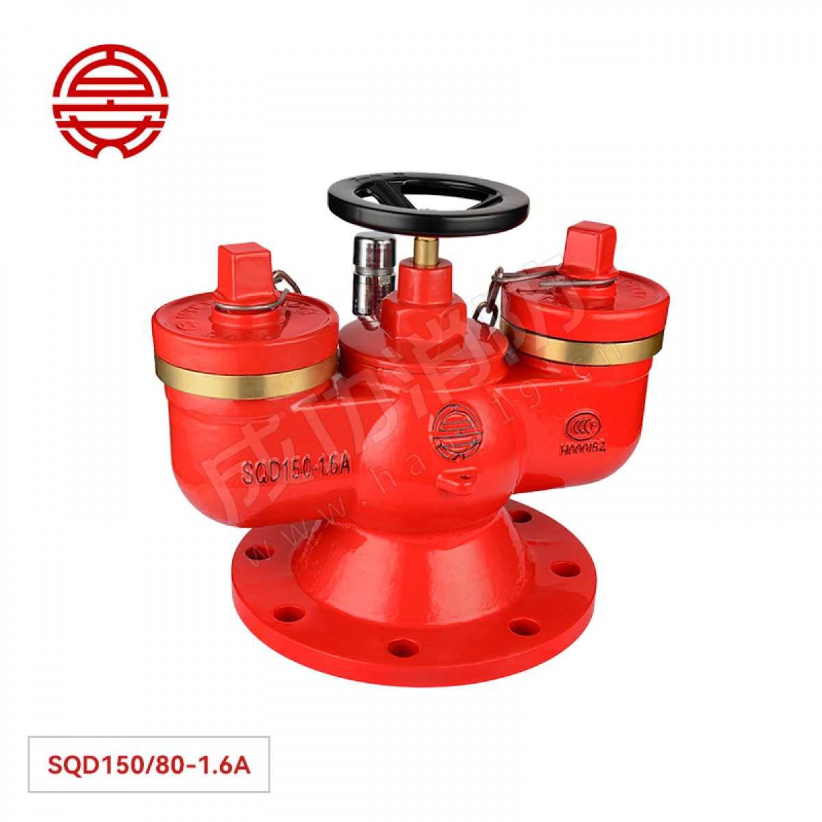 百安 多用式消防水泵接合器（地下型） SQD150/80-1.6A