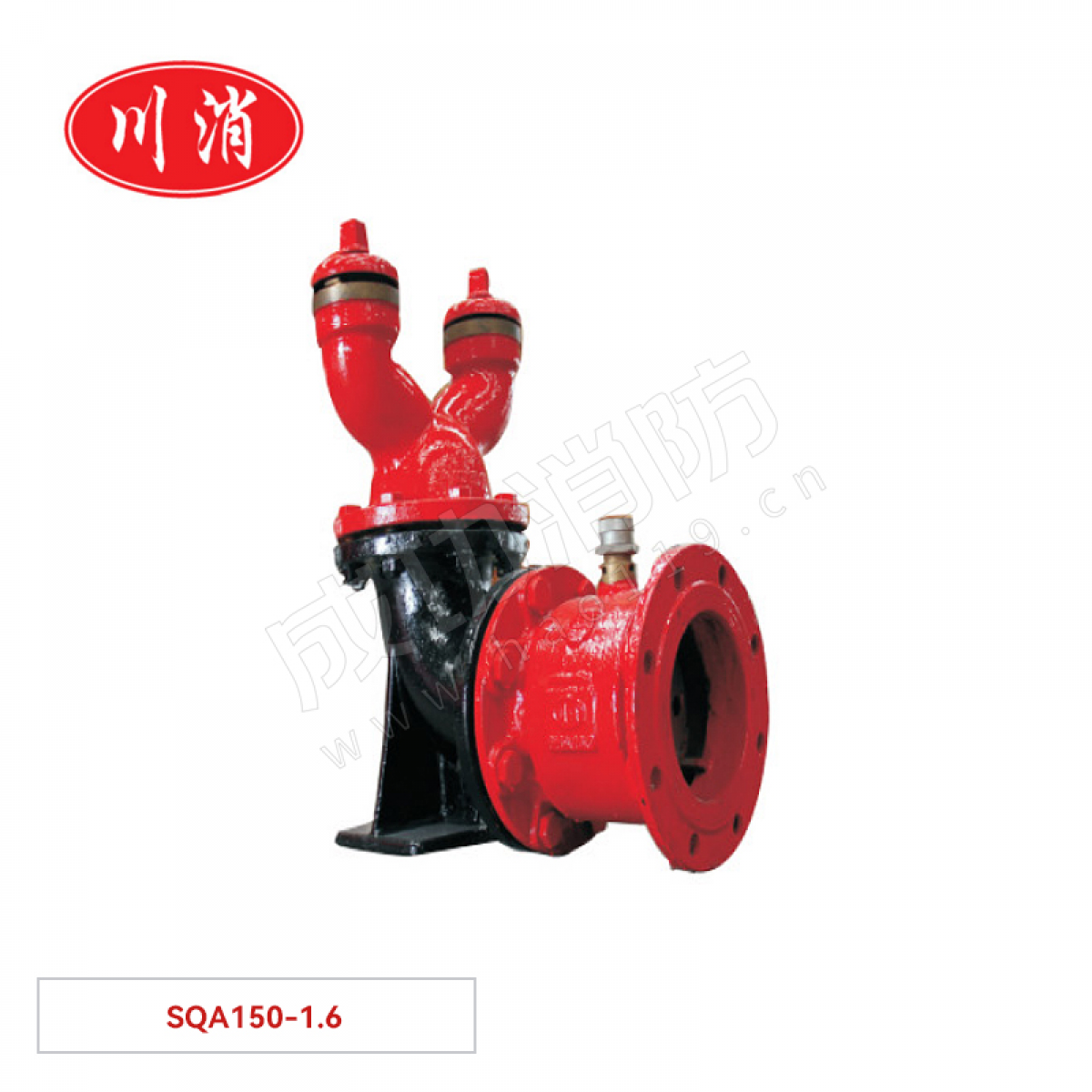 川消 地下式消防水泵接合器(不带闸阀） SQA150-1.6