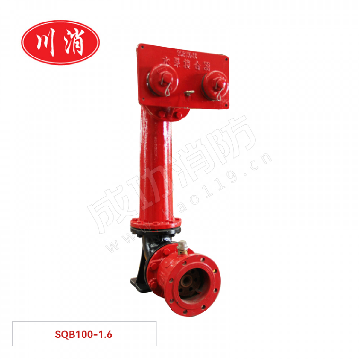 川消 墙壁式消防水泵接合器(不带闸阀） SQB100-1.6