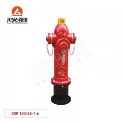 川安 地上消火栓（无弯头泡沫栓） SSP 100/65-1.6