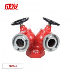 成发 室内消火栓（双阀双出口栓） SNSS65