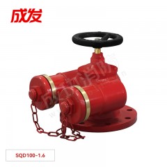 成发 多用式消防水泵接合器 SQD100-1.6