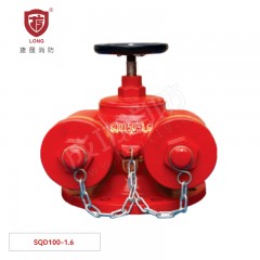 捷晟 多用式消防水泵接合器（地上式） SQD100-1.6