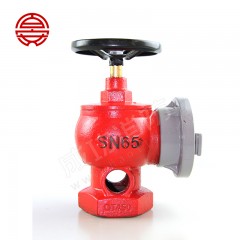 百安 室内消火栓（普通栓） SN65