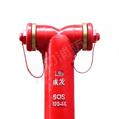 成发 地上式消防水泵接合器 SQS100-1.6