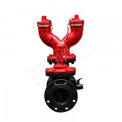 成发 地下式消防水泵接合器 SQA100-1.6