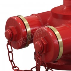 成发 多用式消防水泵接合器 SQD100-1.6