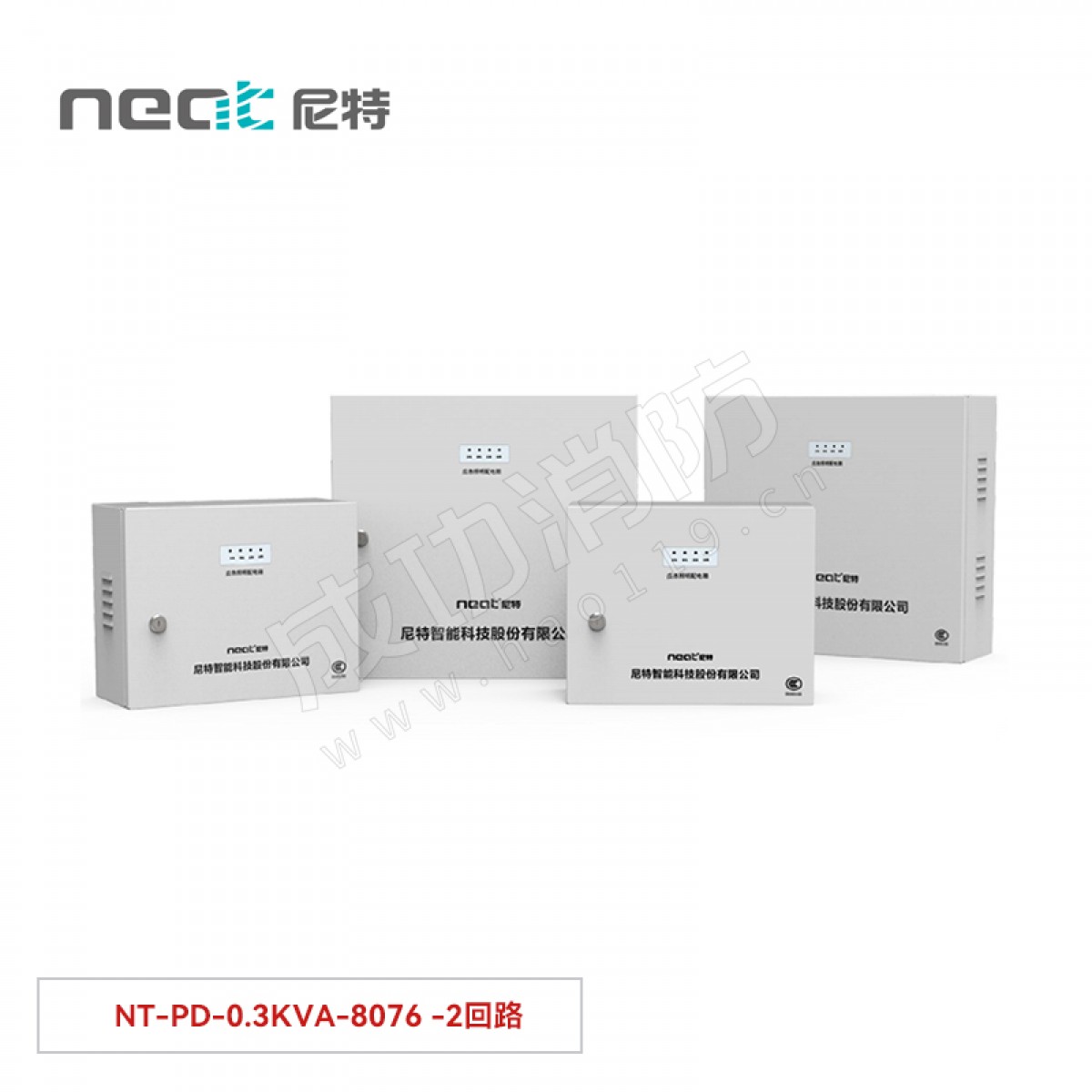 尼特  应急照明配电箱300WNT-PD-0.3KVA-8076 -2回路